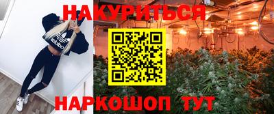 молекула духа Краснодар