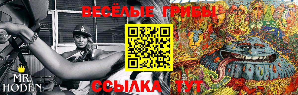 Псилоцибиновые грибы прущие грибы Кемерово